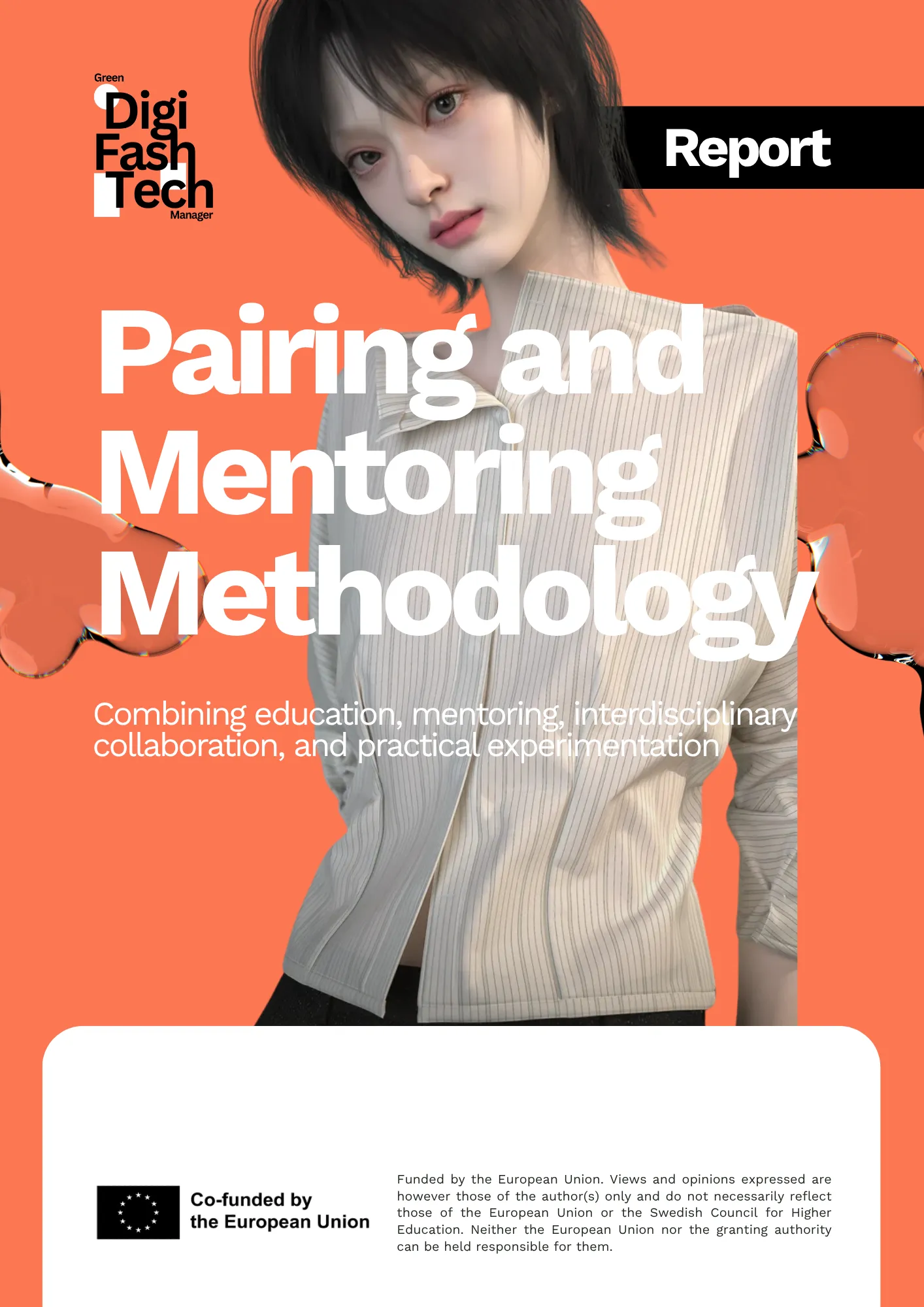 Cover of Pairing and Mentoring Methodology